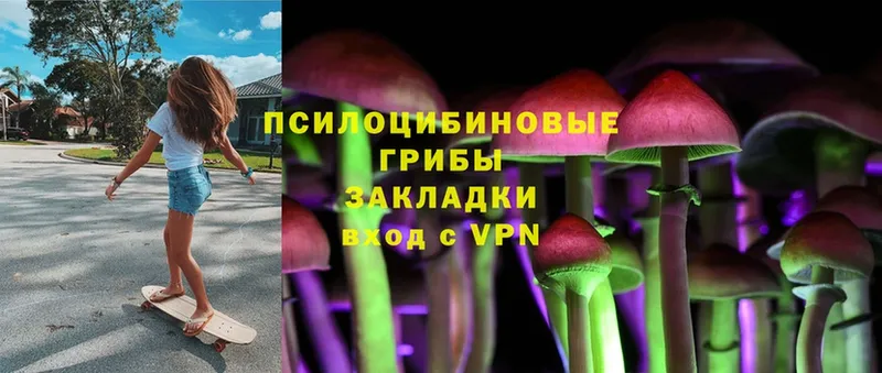 Псилоцибиновые грибы MAGIC MUSHROOMS  нарко площадка формула  Барабинск  купить  сайты 